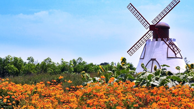 百万葵园门票，四季花海，童真动漫亲子游